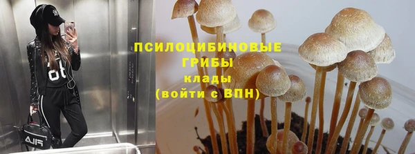 ПСИЛОЦИБИНОВЫЕ ГРИБЫ Абаза