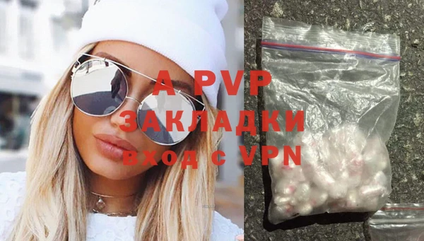 ПСИЛОЦИБИНОВЫЕ ГРИБЫ Абаза