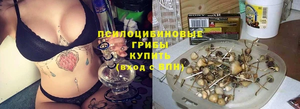 spice Абинск