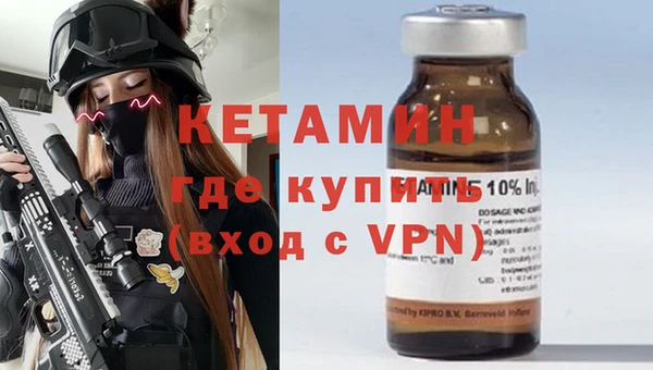 гашик Пестово
